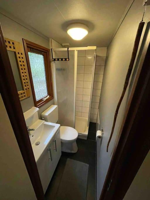 Gezellig Chalet Op De Prachtige Veluwe Путен Екстериор снимка